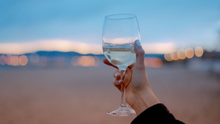 person holding wine glass