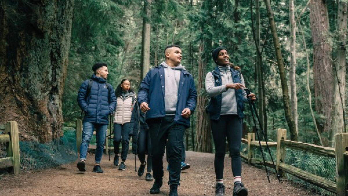 Young people hiking in a forest